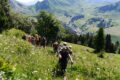 Roc des Tours